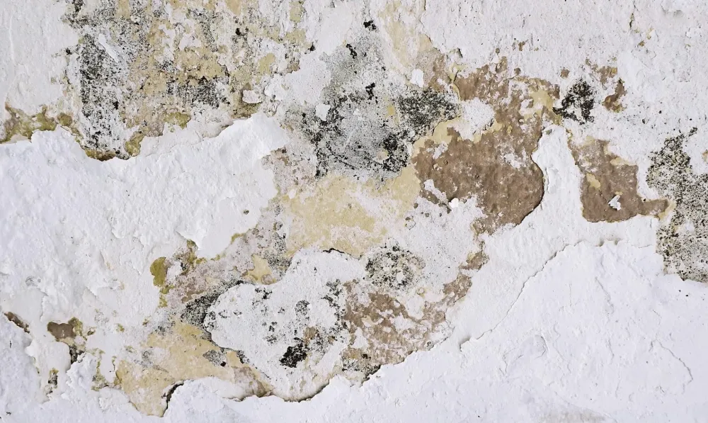Mur endommagé